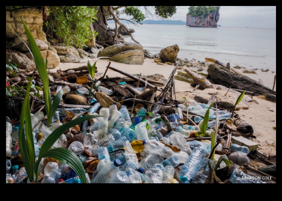 Kıyı manzaraları plastik kirliliğinin zorluklarına nasıl uyum sağlıyor?