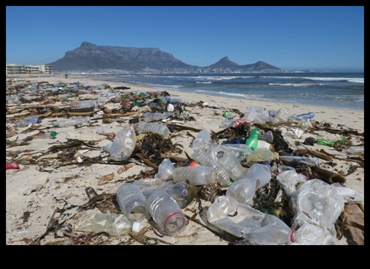 Kıyı manzaraları plastik kirliliğinin zorluklarına nasıl uyum sağlıyor?