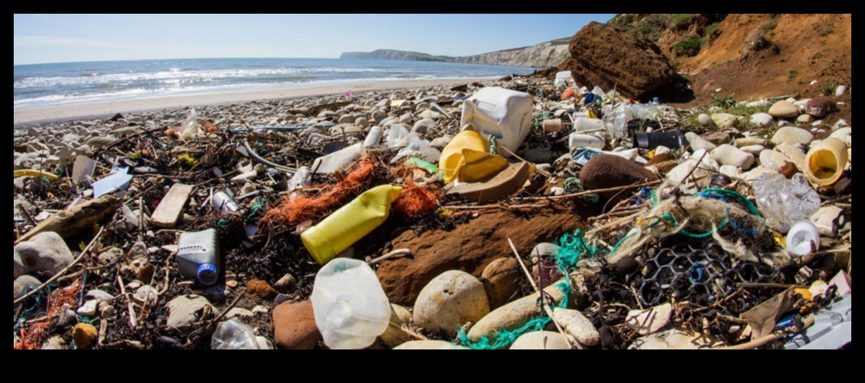 Kıyı manzaraları plastik kirliliğinin zorluklarına nasıl uyum sağlıyor?